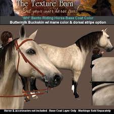 These buckskin horse names are awesome! Second Life Marketplace The Texture Barn Buttermilk Buckskin For Wh Bento Horse