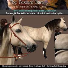 This is a color breed and animals are registered based on coloration and markings. Second Life Marketplace The Texture Barn Buttermilk Buckskin For Wh Bento Horse