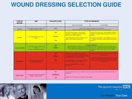 ppt wound management and dressing selection powerpoint