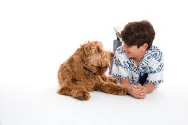 We did not find results for: Roman Christou Actor Wikipedia Bio VarstÄƒ InÄƒlÈ›ime Greutate Familie Valoare NetÄƒ Filme Fapte Starsgab Bio Actor