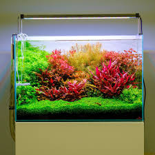 The new Twinstar Light 600S V. Cutting-edge technology. Smart app.  #twinstarlight #twinstareu #freshwateraquarium #aquascaping #fishkeeping  #plantedtank