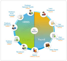 Hrms Chart Infinite Business Solution Enterprise