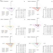 Image result for Acroceras macrum