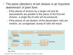 Maybe you would like to learn more about one of these? Plant Growth And Development Ppt Video Online Download