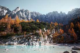 Mac Wallpapers Free Hd Download 500 Hq Unsplash Fall Wallpaper Cute Fall Wallpaper Desktop Wallpaper Fall