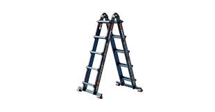 Image result for Lankesteria