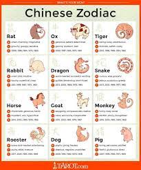 Chinese Zodiac Chinese Astrology Chinese Zodiac Rat Chinese Zodiac