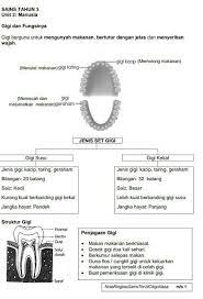 See more of koleksi soalan sains pt3 2020 on facebook. Pin On Renu Sains