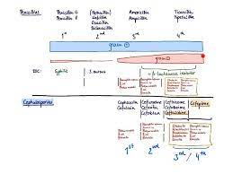 Pin By Karolina Miaskiewicz On Education Antibiotic Nursing School Education