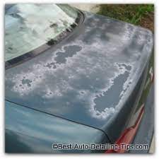 Why is my car's clear coat peeling off? Car Paint Restoration Tips For Beginners