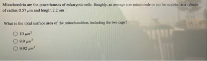 What is the average size of a eukaryotic cell. Mitochondria Are The Powerhouses Of Eukaryotic Cells Chegg Com