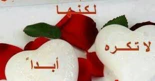 القلوب النظيفه sugar cookie meeting new people food
