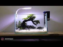 Mini Bonsai In Nano Aquascape Youtube Kreatif