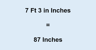 7′ 3″ in ″ ▷ What is 7 Feet 3 in Inches?
