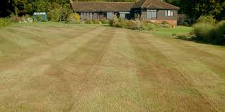 Feb 05, 2021 · how to dethatch your lawn dethatching is the easy option because it is accomplished simply by using a rake. Autumn Is The Best Time Of Year To Scarify Your Lawn Lawntech