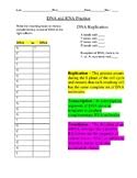 FIll in the complimentary dna strand b. Transcription Translation Worksheet Teachers Pay Teachers