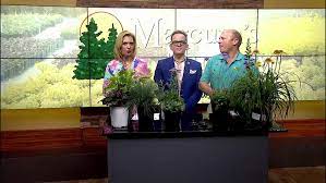 We did not find results for: Marcum S Nursery Using Perennials In Your Landcape Kokh