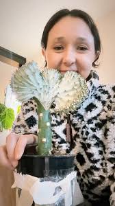 The BeaHive Plant Tribe (@thebeahiveplanttribe) · Dublin, GA