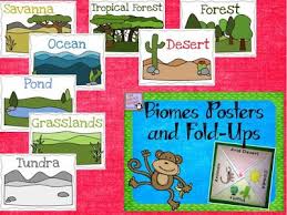Biotic Factors In The Amazon Rainforest Biomes Biomes Biomes Posters And Fold Ups Biomes Homeschool Life Science Science Penguin