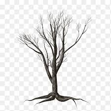 Maybe you would like to learn more about one of these? Wither Png Images Pngegg