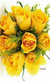 Italian flora® è un'azienda floreale che consegna fiori a domicilio. Pin By Pia Poikselka On Roses Yellow Flowers Bouquet Happy Birthday Flower Birthday Flowers Bouquet