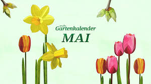 May 5 at 7:45 am · die eisheiligen stehen vor der tür! Der Mdr Gartenkalender Gartentipps Fur Mai Mdr De