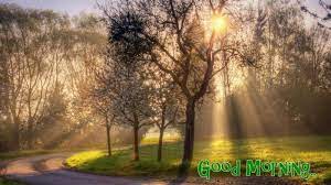 Good Morning Wallpapers Free Download Spring Wallpaper Beautiful Nature Spring Wallpaper Hd