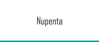 Nupenta Composition Uses Side Effects Substitutes Warnings