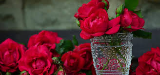 Le meilleur moyen de soulager une démangeaison d'une piqûre de moustique reste d'y faire le vinaigre ou le jus de citron fonctionnent particulièrement bien contre les démangeaisons, pour une application cutanée. Les Astuces De Grand Mere La Nature Et Les Plantes Au Service De Votre Bien Etre Produits Bio Ecologiques Ou Naturels Pour La Maison Les Plats De Mamie