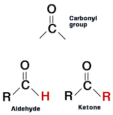 Aldehydes and Ketones: the carbonyl functional group, naming, reactions - Biology