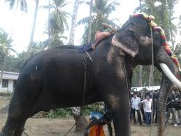 Draw a circle and a large oblong attached to it. Mangalamkunnu Karnan Ayyappan Sharanayyappan Team Of Adithiruthy By Al Buraq