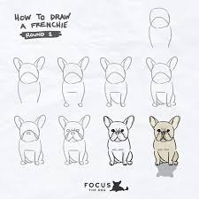 Batpigandme French Bulldog Drawing Bulldog Drawing French Bulldog Art