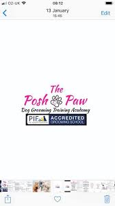 Maybe you would like to learn more about one of these? The Posh Paw Dog Grooming Training Academy Home Facebook