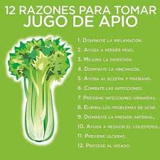 Ante Todo El Apio Es Una Importante Fuente De Vitaminas Junto A Su Alto Aporte En Vitaminas Hay Que Destacar Las Importantes Dosis Jugo De Apio Jugos Apio