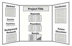 Science Fair Project Display Boards Science Fair Projects Boards Science Fair Display Board Science Fair Board