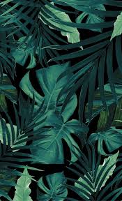 Potted green plant on white surface, aesthetic, table, vase. Tropical Jungle Night Leaves Pattern 1 Tropical Decor Art Society6 Blackout Curtain By Anitabe Leaves Wallpaper Iphone Jungle Wallpaper Tropical Wallpaper