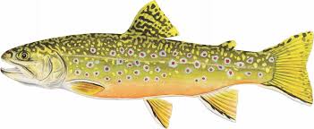 Click an image below to go to fish size page. Fish Mount Rainier National Park U S National Park Service