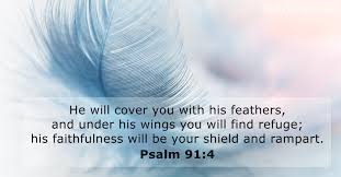 Will abide in bthe shadow of the almighty. Psalm 91 4 Bible Verse Of The Day Dailyverses Net