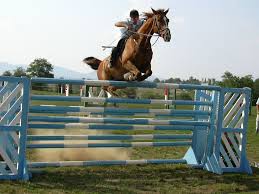 images?q=tbn:ANd9GcRHiyUl9NvkMBpWslN0Q-o0aaMDqV1Mg_sJtMvevGkX6w1m9IRN