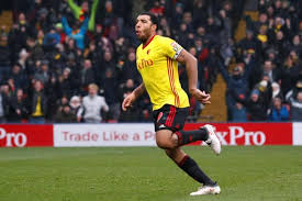 We did not find results for: Troy Deeney Goal The Difference As Watford Beat West Bromwich Albion Watford Observer