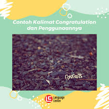 Ada sekitar 60 contoh preposition dalam tabel berikut dilengkapi dengan artinya dan contoh kalimat. Contoh Kalimat Congratulation Dan Penggunaannya Kampung Inggris Lc