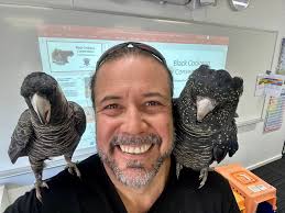 Black Country Bird Auctions Monday 10th February 2025. Doors open 6pm.  Auction starts 7.30pm. £50 cash raffle. PLEASE NOTE ALL CAGES MUST BE CLEAN  WITH SEED, WATER AND PERCHES WITH NO EVIDENCE