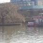 Profile Picture of Brayford Island - Wikipedia (@wikipedia.org) on Google