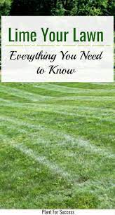Lime Your Lawn Lawn Treatment Fall Lawn Care Lawn Soil