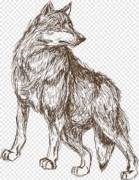 There are many characters who fall under this category spanning across various anime. Leopardtiercroquis Illustration Tierwolfskizze 3d Animation Tier Tierskizze Png Pngwing