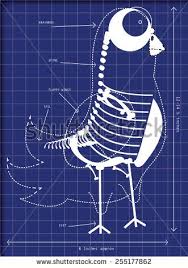 Cartoon Blueprints Of A Pigeon This Is A Funny Cartoon Illustration Showing The Insides Of A Pigeon Bird Cartoon Illustration Stock Illustration Illustration