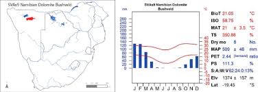 Image result for Panicum subflabellatum
