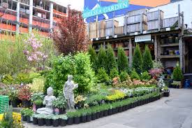We strive to provide an unmatched selection of traditional favorites along with the latest varieties for you to explore. Chelsea Garden Center Shopping In Red Hook New York