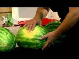Run the blade of the knife down the sides of the watermelon, cutting the rind from the flesh. How To Pick The Perfect Watermelon Youtube