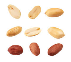 2.2 hipotesis kacang tanah, kacang merah. Kacang Koro Pedang Blog Fenny Online